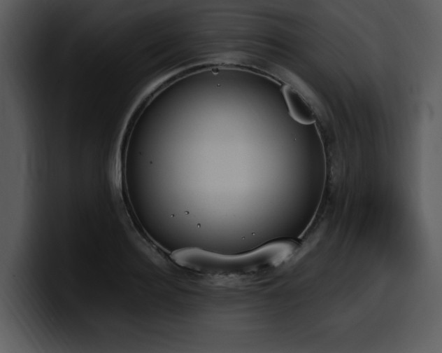 X0000100770940200806191238