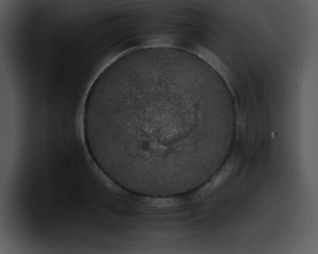 X0000100770941200806191238