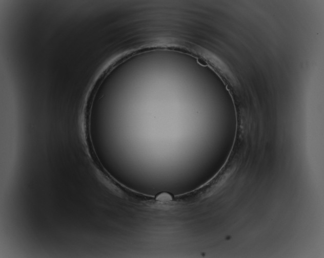 X0000100770942200806191238