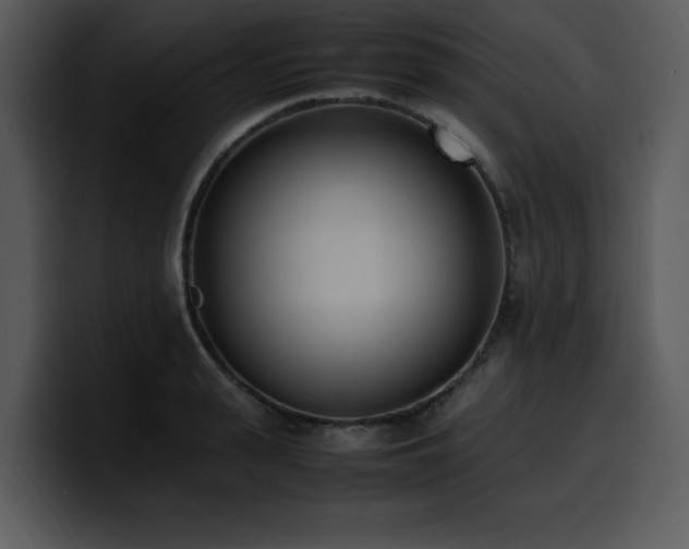 X0000100770943200806191238