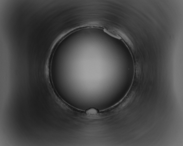 X0000100770944200806191238