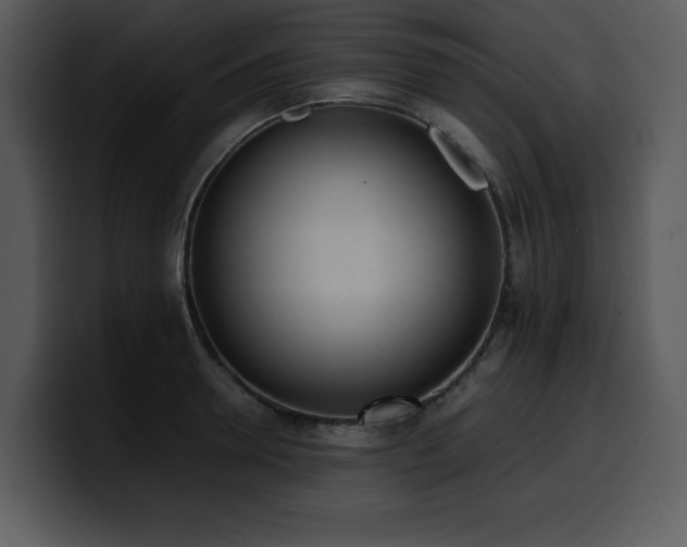 X0000100770946200806191238