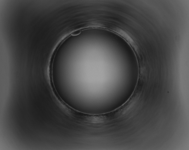 X0000100770947200806191238