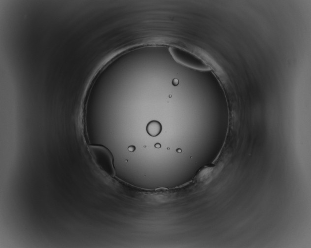 X0000100770948200806191238