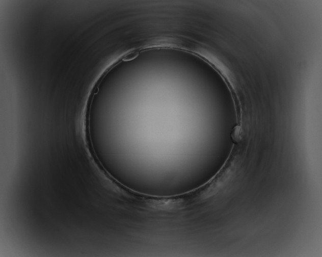 X0000100770949200806191238