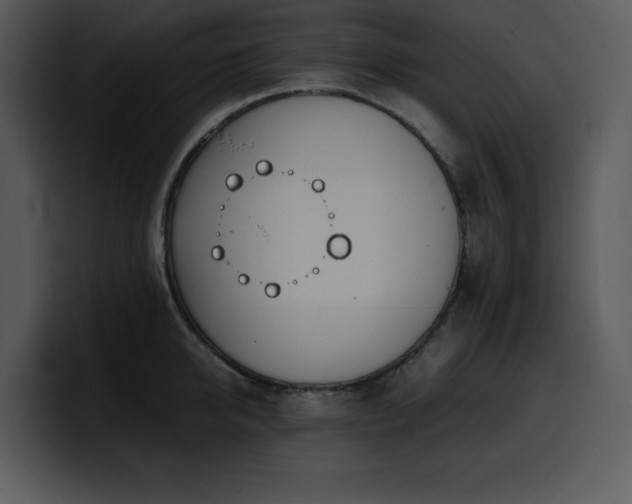 X0000100770950200806191238