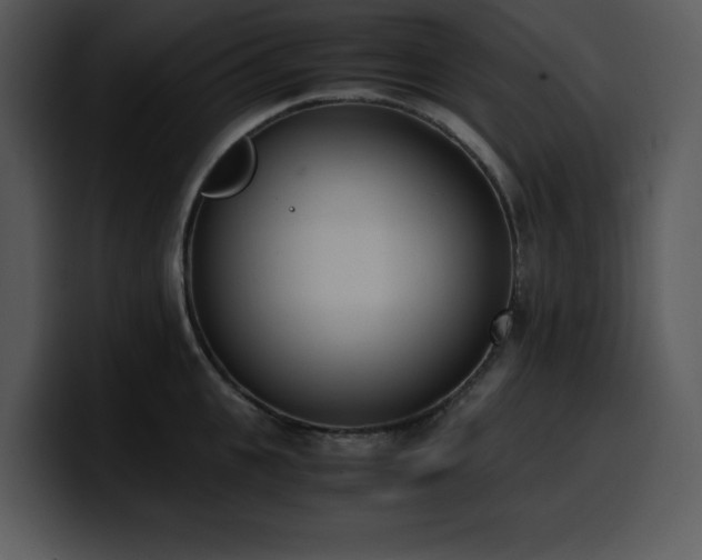 X0000100770951200806191238