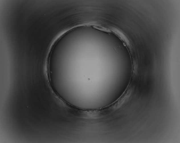 X0000100770952200806191238