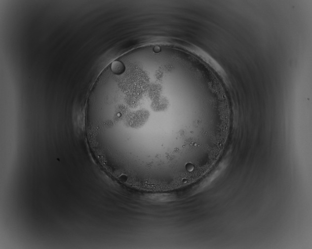 X0000100770953200806191238