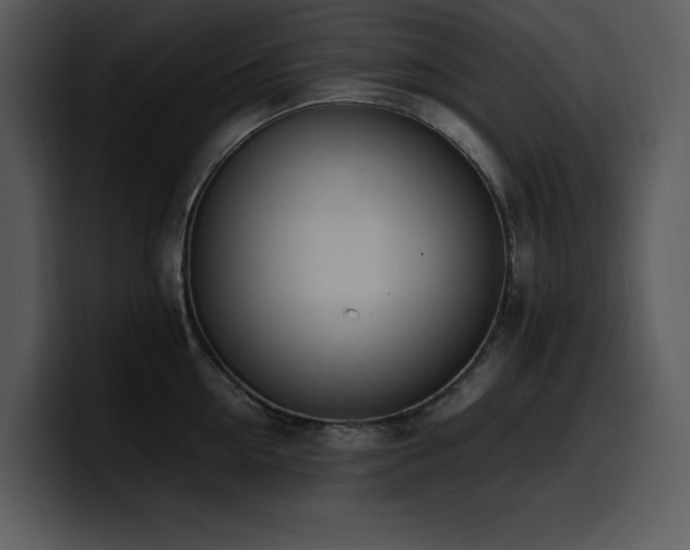 X0000100770954200806191238