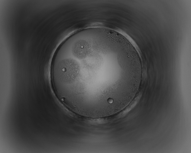X0000100770957200806191238