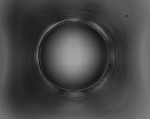X0000100770959200806191238