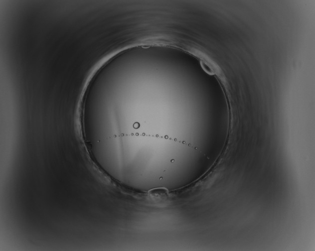 X0000100770960200806191238