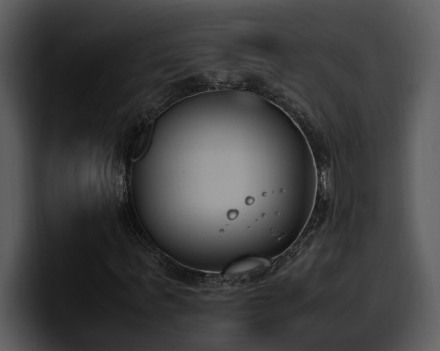X0000100770963200806191238