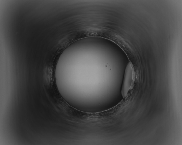 X0000100770964200806191238