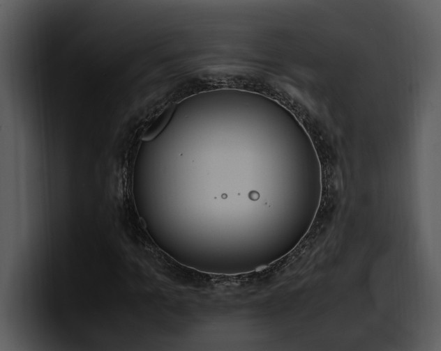 X0000100770965200806191238