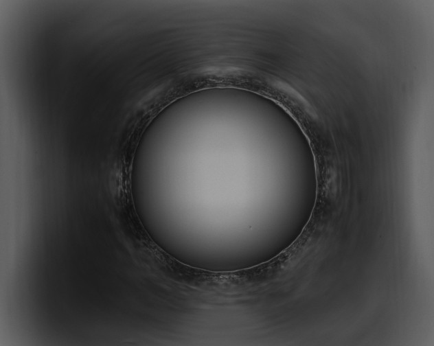 X0000100770966200806191238