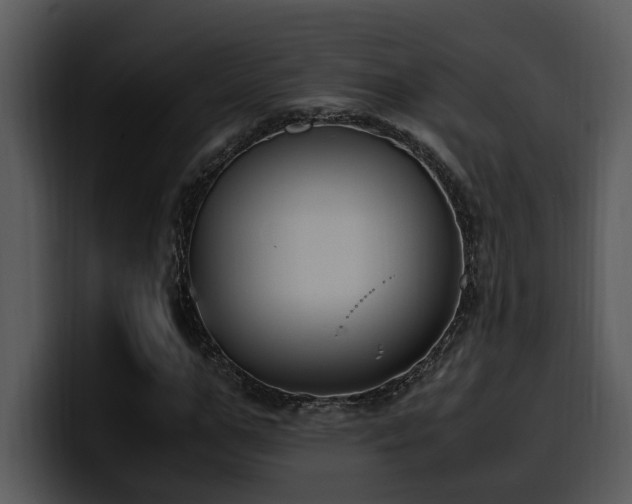 X0000100770967200806191238