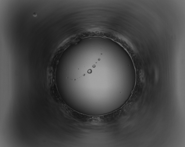 X0000100770968200806191238