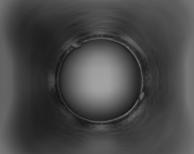 X0000100770969200806191238