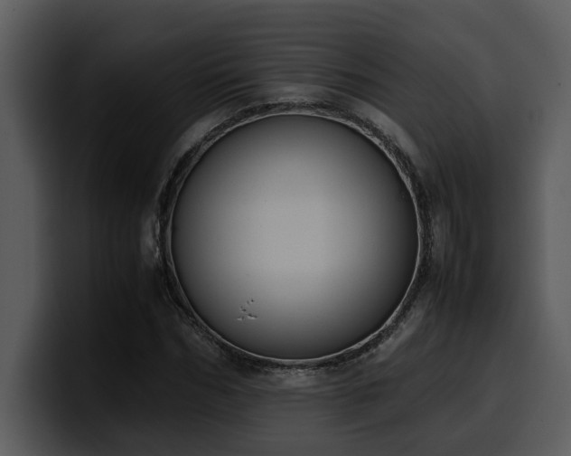X0000100770970200806191238