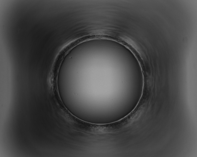 X0000100770971200806191238