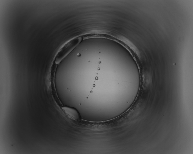 X0000100770972200806191238