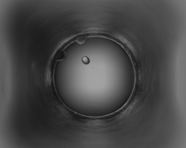 X0000100770973200806191238