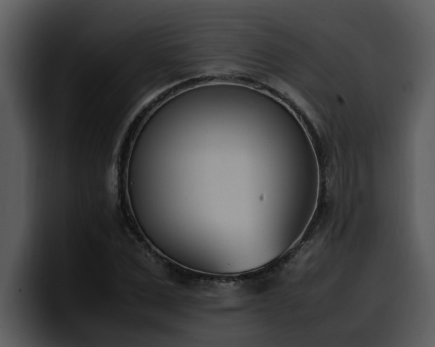 X0000100770975200806191238