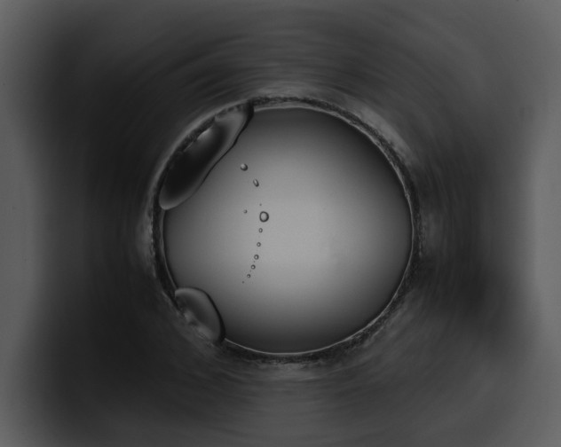 X0000100770976200806191237