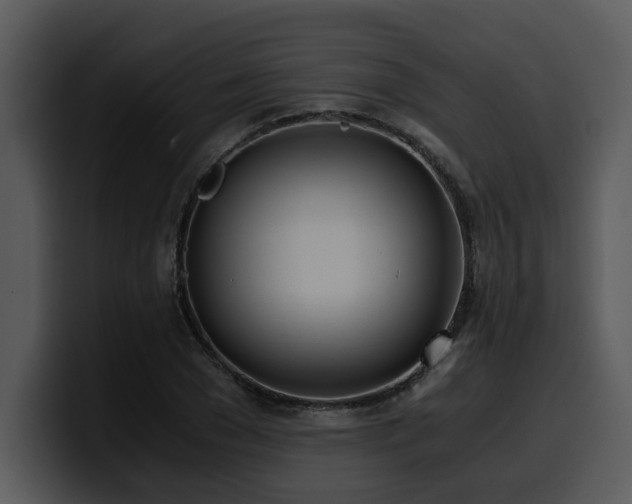 X0000100770977200806191237