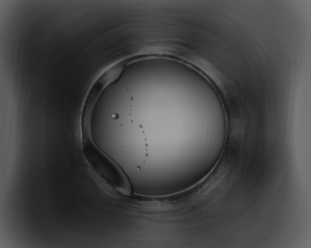 X0000100770980200806191237