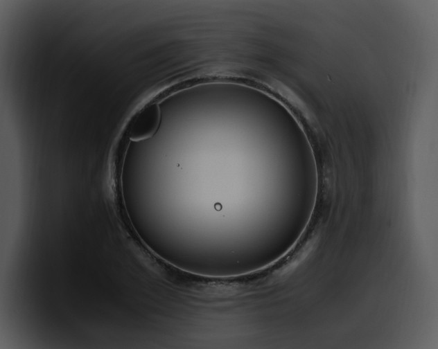 X0000100770981200806191237