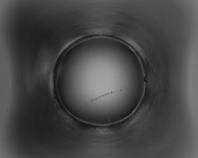 X0000100770983200806191237