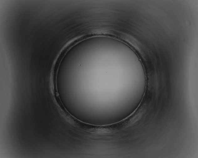 X0000100770984200806191237