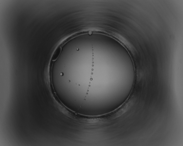 X0000100770988200806191237