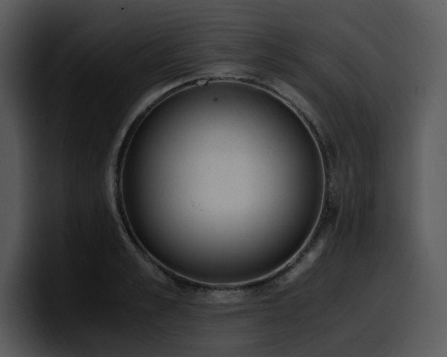 X0000100770989200806191237