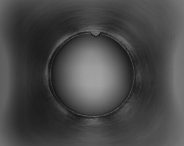 X0000100770990200806191237