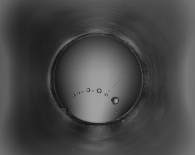 X0000100770991200806191237
