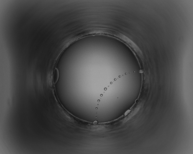 X0000100770993200806191237