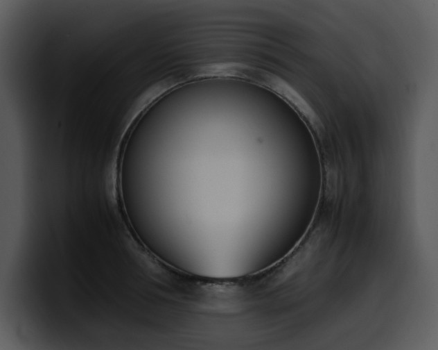 X0000100770994200806191237
