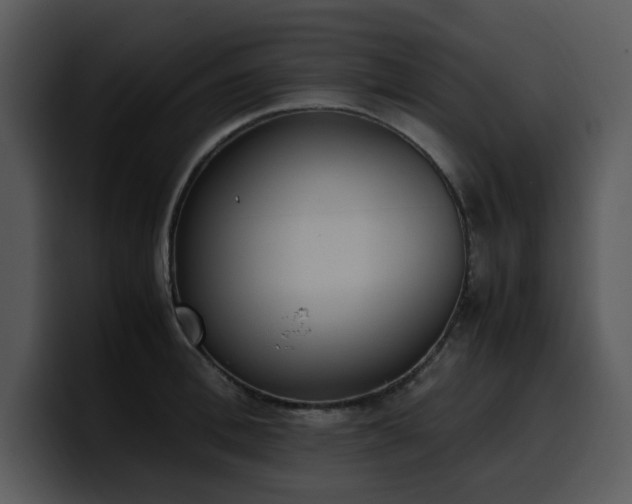 X0000100770996200806191237