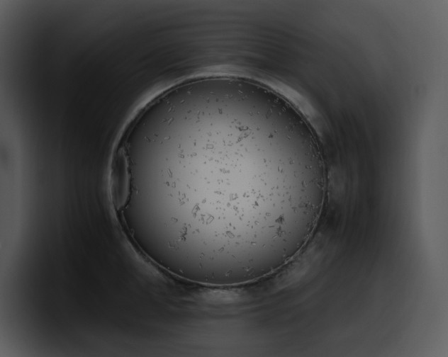 X0000100770998200806191237