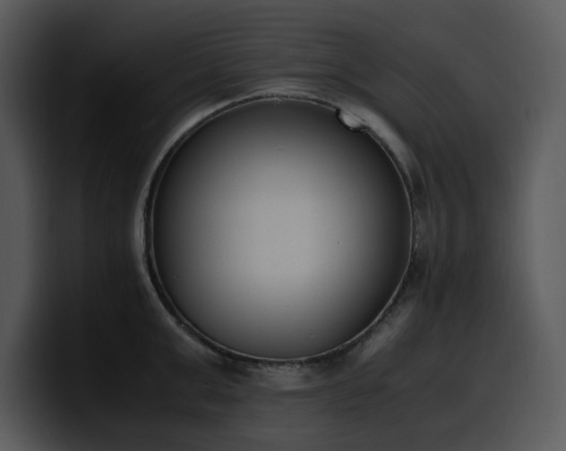X0000100770999200806191237