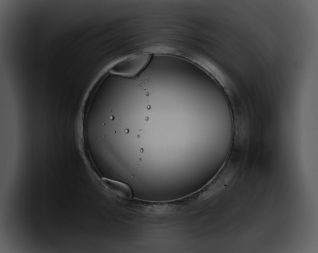 X0000100771000200806191237