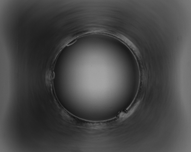 X0000100771001200806191237