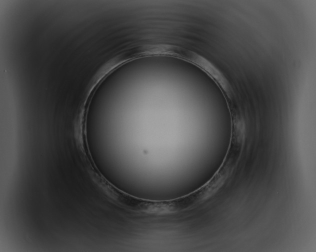 X0000100771002200806191237