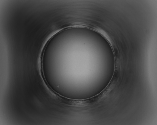 X0000100771003200806191237