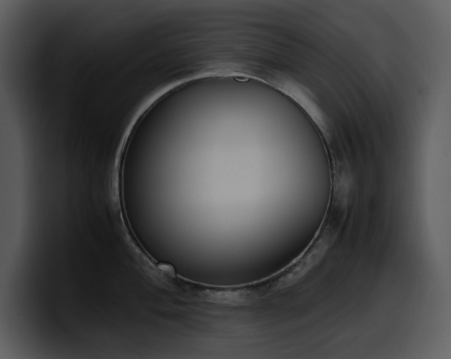X0000100771004200806191237