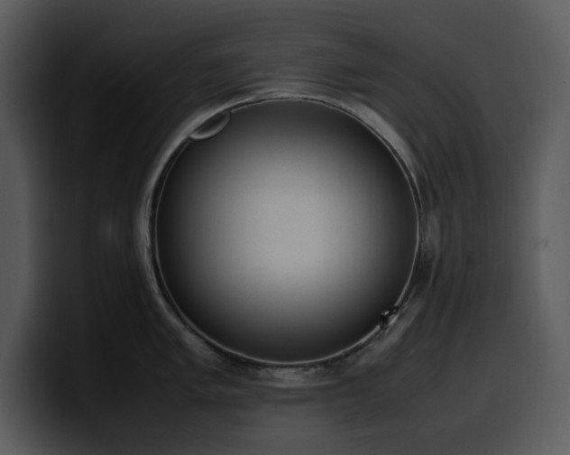 X0000100771005200806191237